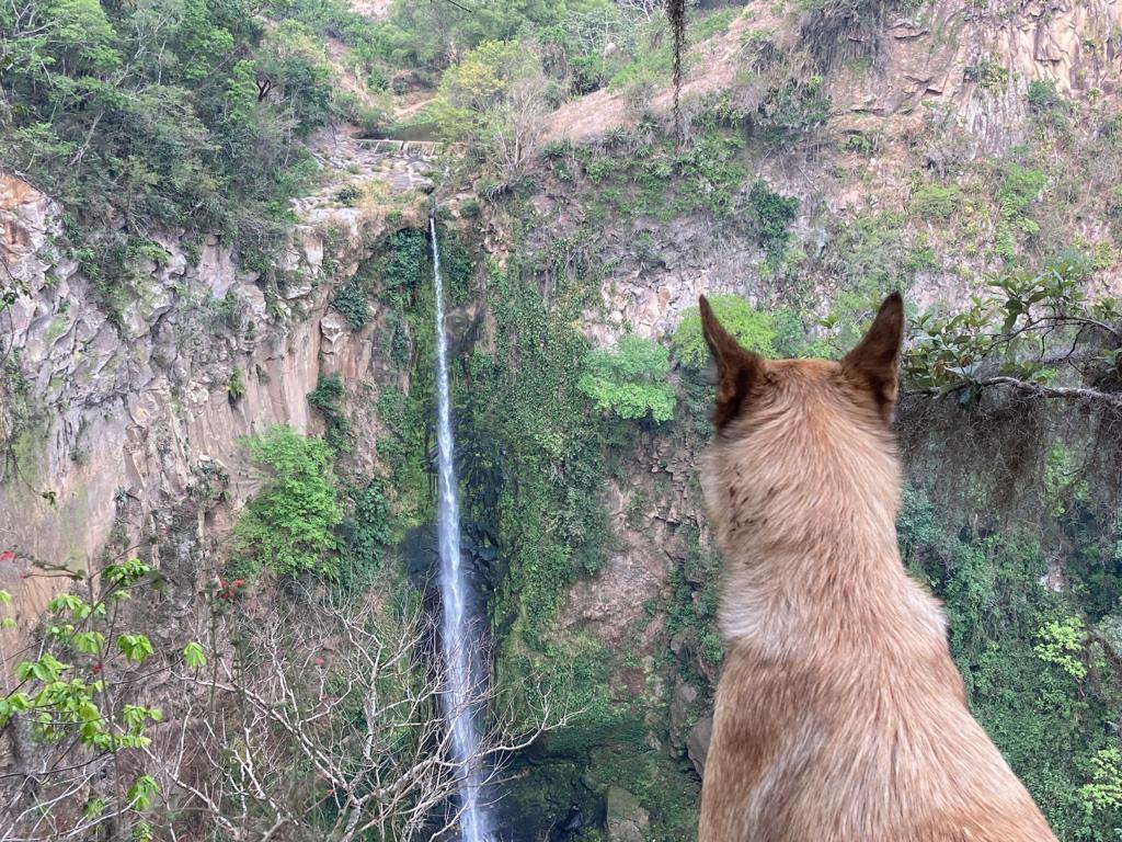 Habitantes se quedan sin agua en Chavarrillo